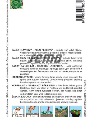Semo Šalát letný ´Maximo´