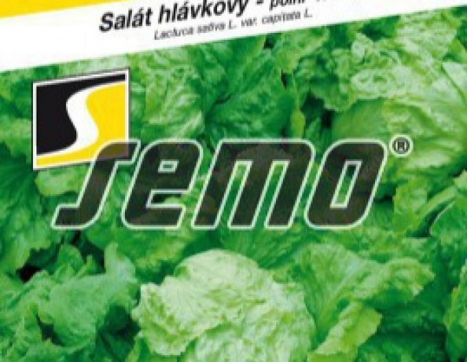 Semo Šalát letný ´Ledano´