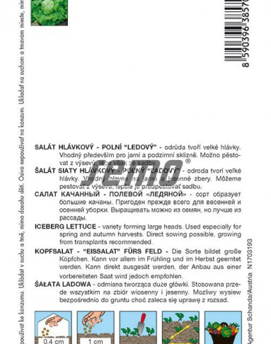 Semo Šalát letný ´Ledano´