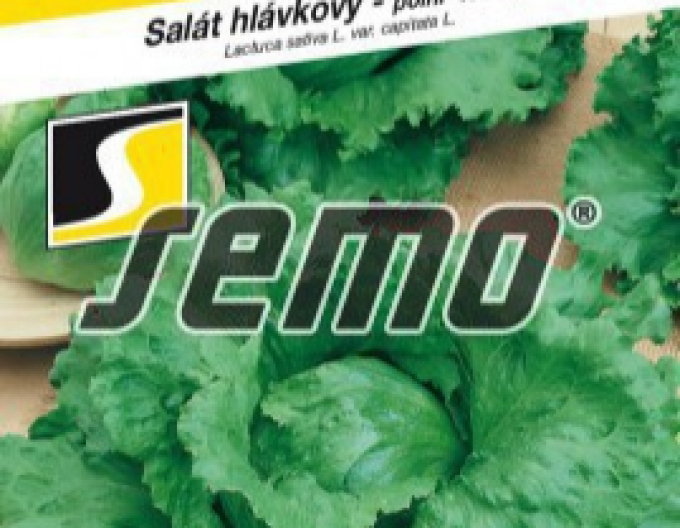 Semo Šalát letný ´Medimo´