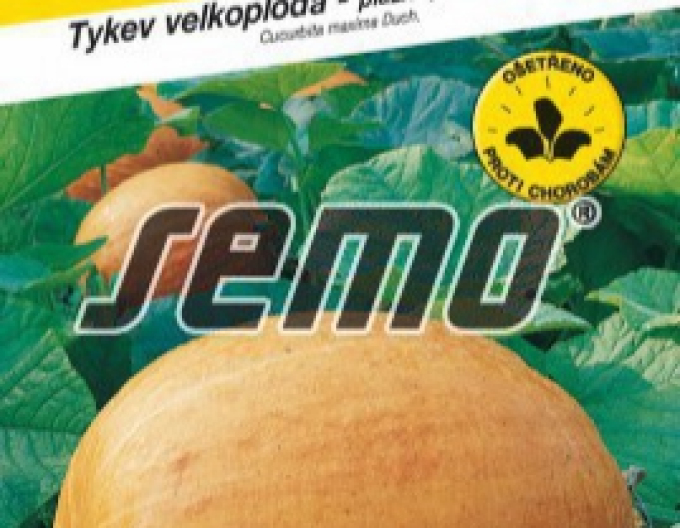 Semo Tekvica obrovská - plazivá ´Goliáš´