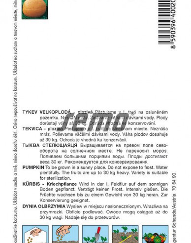 Semo Tekvica obrovská - plazivá ´Goliáš´
