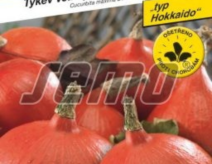 Semo Tekvica obrovská ´Solor F1´