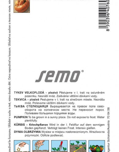 Semo Tekvica obrovská ´Solor F1´