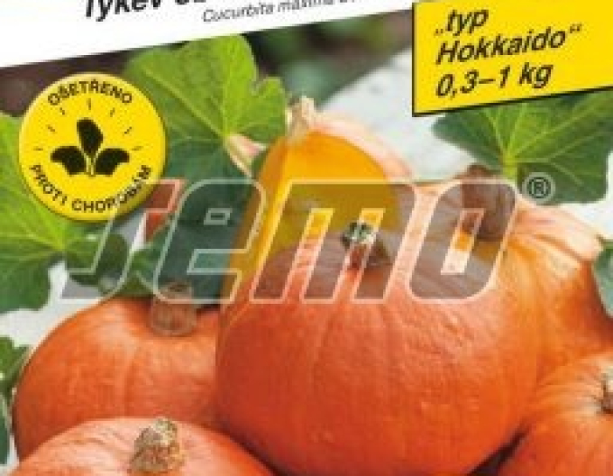Semo Tekvica typu Hokkaido ´Shokichi Red F1´