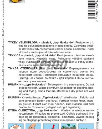 Semo Tekvica typu Hokkaido ´Shokichi Red F1´