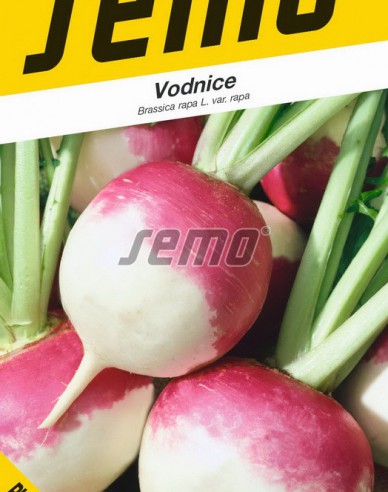 Semo Vodnica ´Purple Top White´