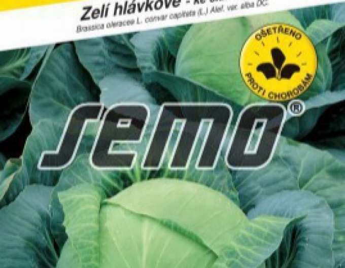 Semo Kapusta hlávková ´Holt´