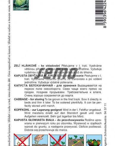 Semo Kapusta hlávková ´Holt´