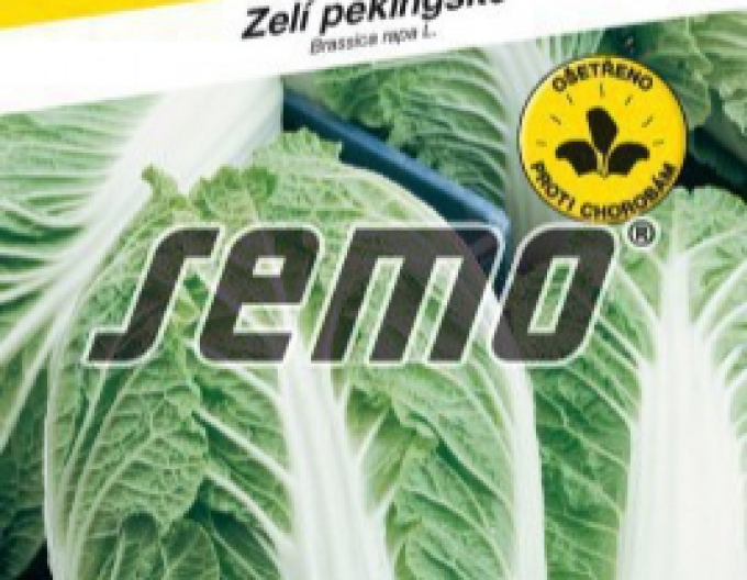Semo Kapusta pekinská ´Parkin F1´