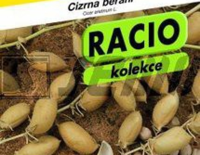Semo Cícer baraní