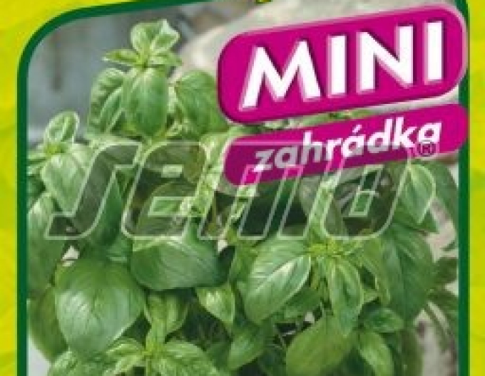 Semo Bazalka pravá ´Pokemon´