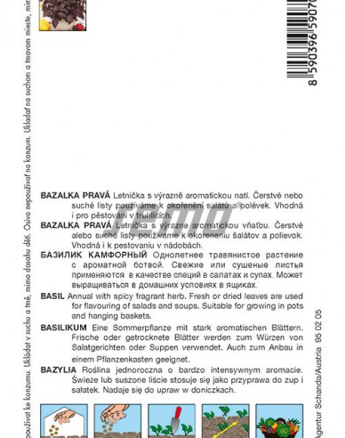 Semo Bazalka pravá ´Purple Opaal´