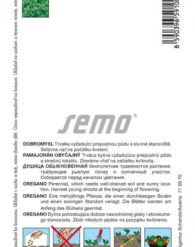 Semo Pamajorán - Oregano obyčajný ´Dobromysl´