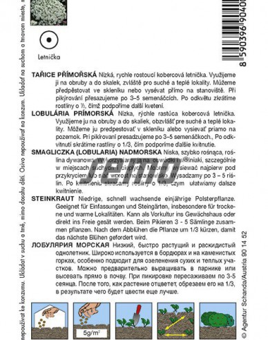 Semo Tarica prímorská ´Corbeille d´Argent´