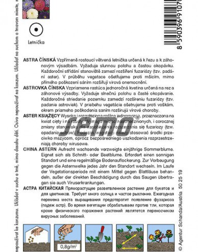 Semo  Astra čínska ´Super Princess Zmes´