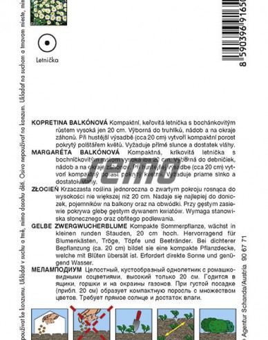 Semo Margarétka balkónová
