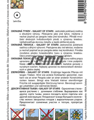 Semo Tekvica okrasná ´Galaxy of Stars´