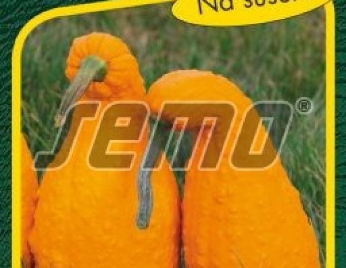 Semo Tekvica okrasná ´Ga Ga Ga´