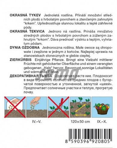 Semo Tekvica okrasná ´Ga Ga Ga´