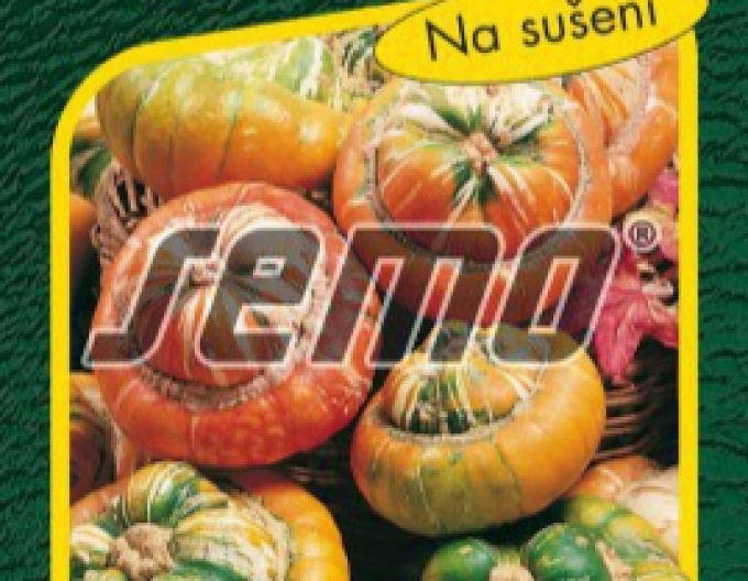 Semo Tekvica okrasná ´Mini Turban´