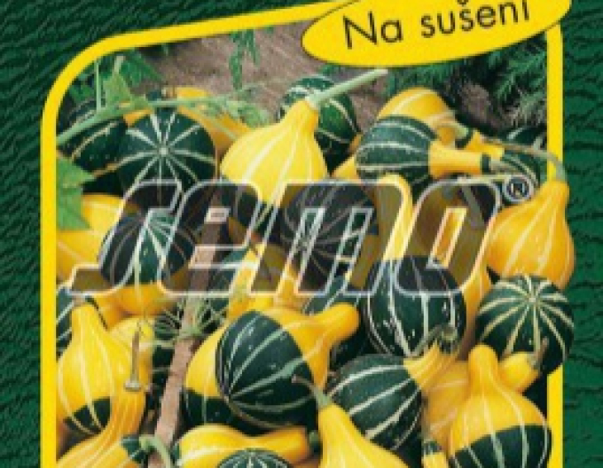 Semo Tekvica okrasná ´Pear Bicolor´