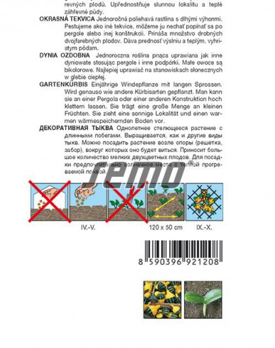 Semo Tekvica okrasná ´Pear Bicolor´