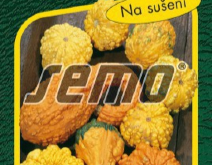 Semo Tekvica okrasná ´Z Bradavic´