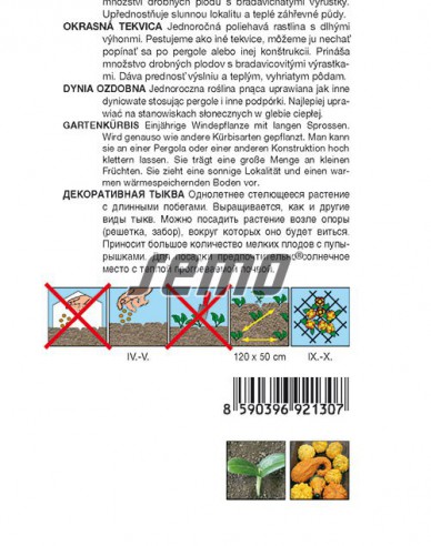 Semo Tekvica okrasná ´Z Bradavic´
