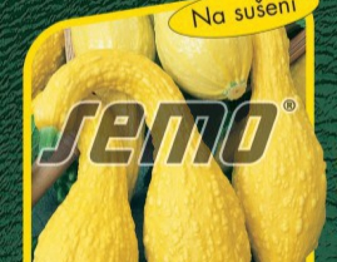 Semo Tekvica okrasná ´Kačičky´