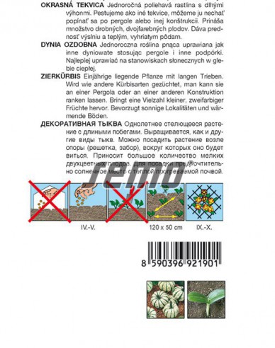 Semo Tekvica okrasná ´Sweet Dumpling´