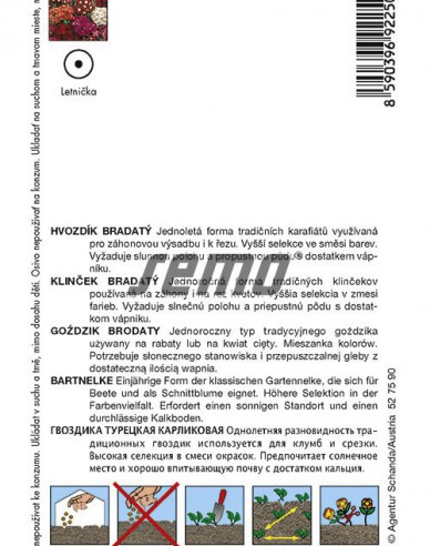 Semo Klinček bradatý ´Zmes´