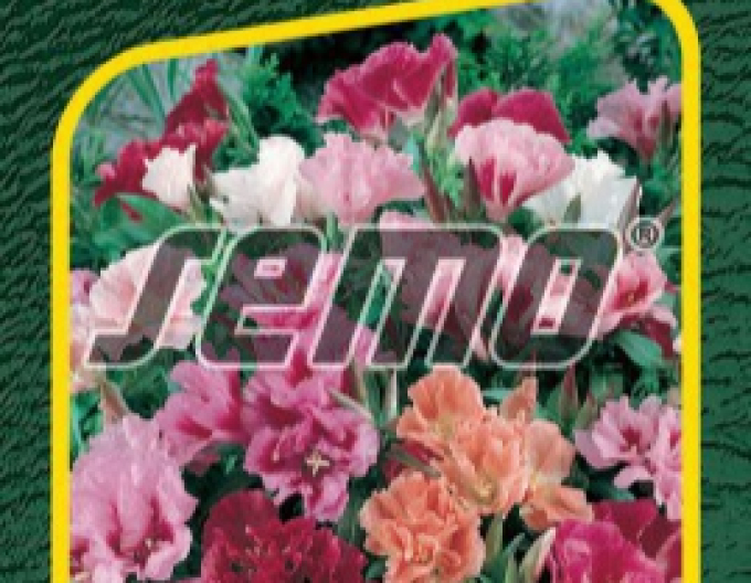Semo Godécia ´Monarch Zmes´