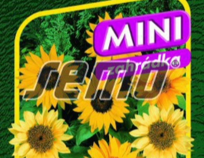 Semo Slnečnica ročná ´Pacino Mix´