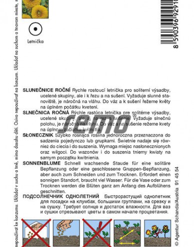 Semo Slnečnica ročná ´Teddy Bear´