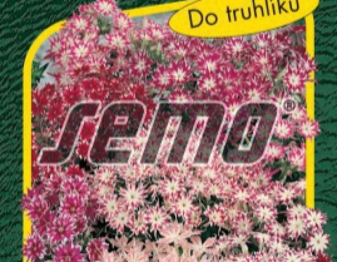Semo Flox  Cuspidata ´Zmes´