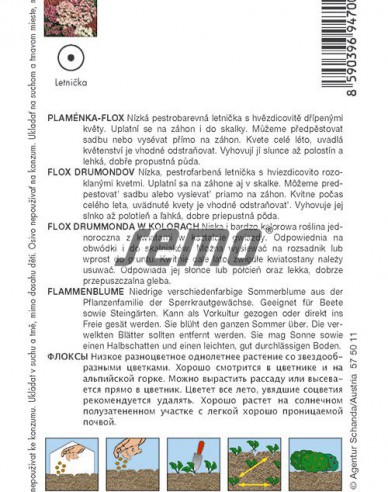 Semo Flox  Cuspidata ´Zmes´