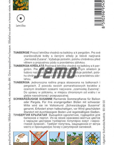 Semo Tunbergia Oranžová s okom