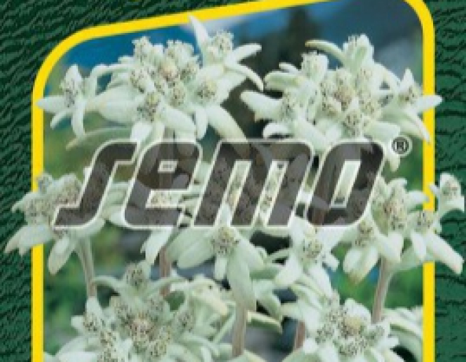 Semo Plesnivec alpínsky ´Edelweiss´