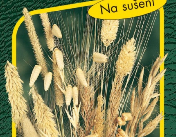 Semo Zmes dekoračných tráv na sušenie