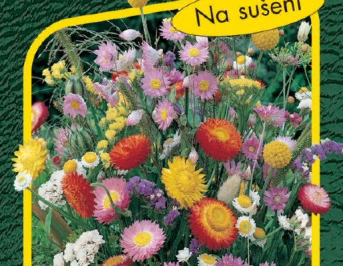 Semo Zmes letničiek na sušenie