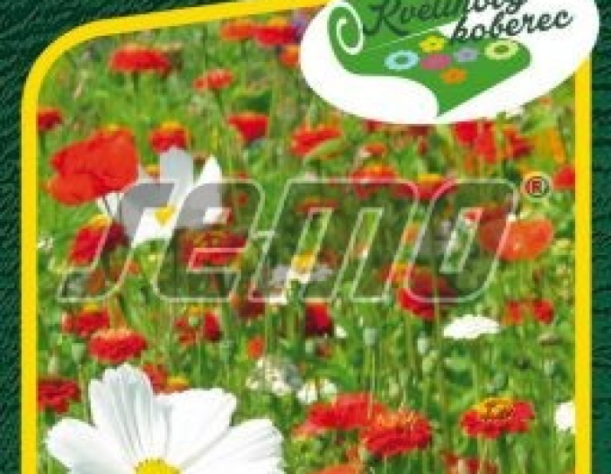 Semo Kvetinový koberec ´Jahody so šlahačkou´