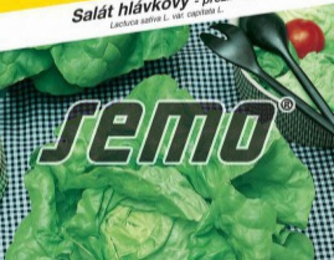 Semo Šalát zimný ´Humil´