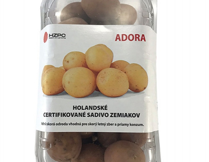 Sadbové zemiaky ´Adora´ vanička cca 1kg