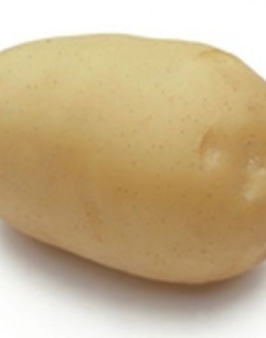 Sadbové zemiaky ´Adora´ vanička cca 1kg