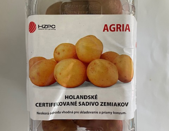Sadbové zemiaky ´Agria´ vanička cca 1kg