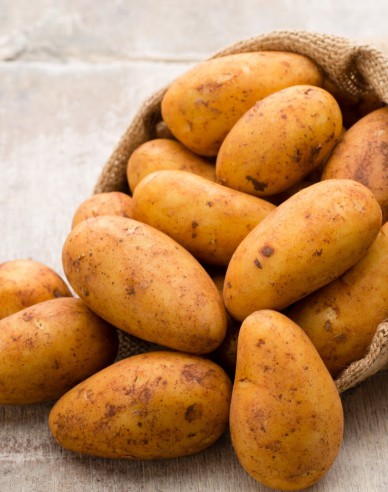 Sadbové zemiaky ´Wega´ 5kg