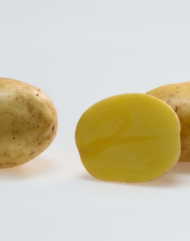 Sadbové zemiaky ´Soraya´ 5kg