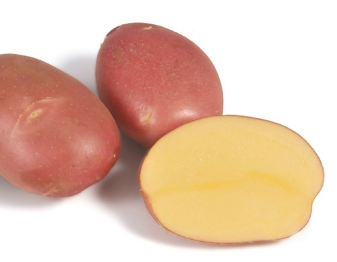 Sadbové zemiaky ´Mozart´ 5kg