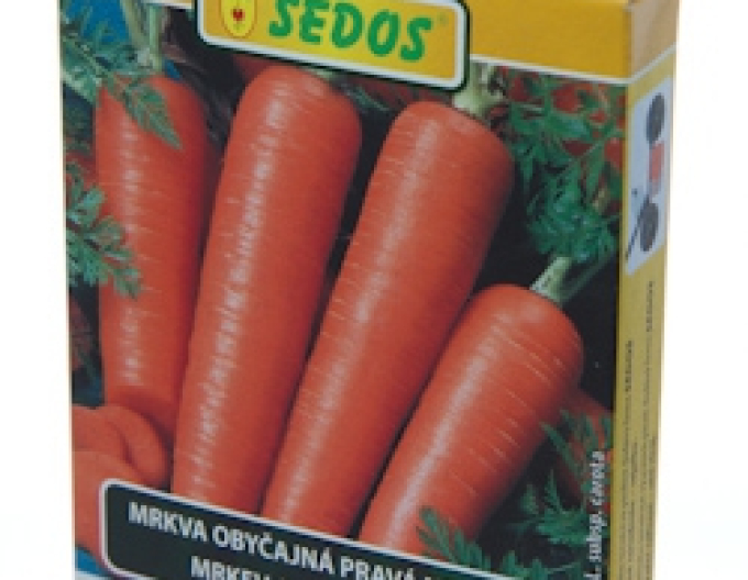 Sedos Mrkva obyčajná ´Tinga´- výsevný pásik 10m